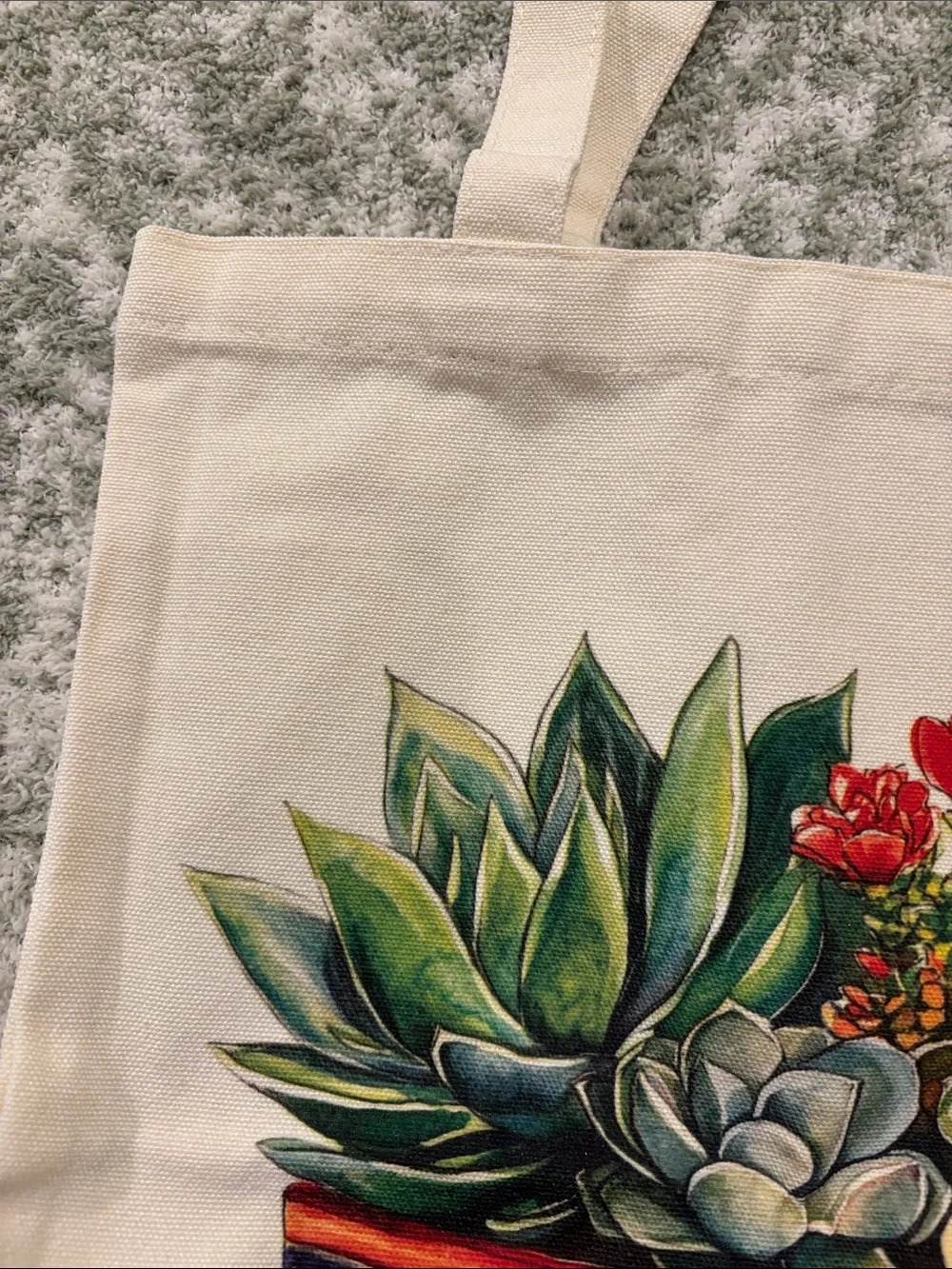 Southwest Ceramic Potted Succulents Cotton Canvas Tote Bag NWT 13.5x15.5”